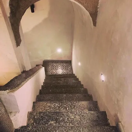 Lorylu Tropea