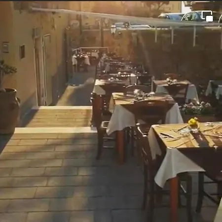 Lorylu Tropea
